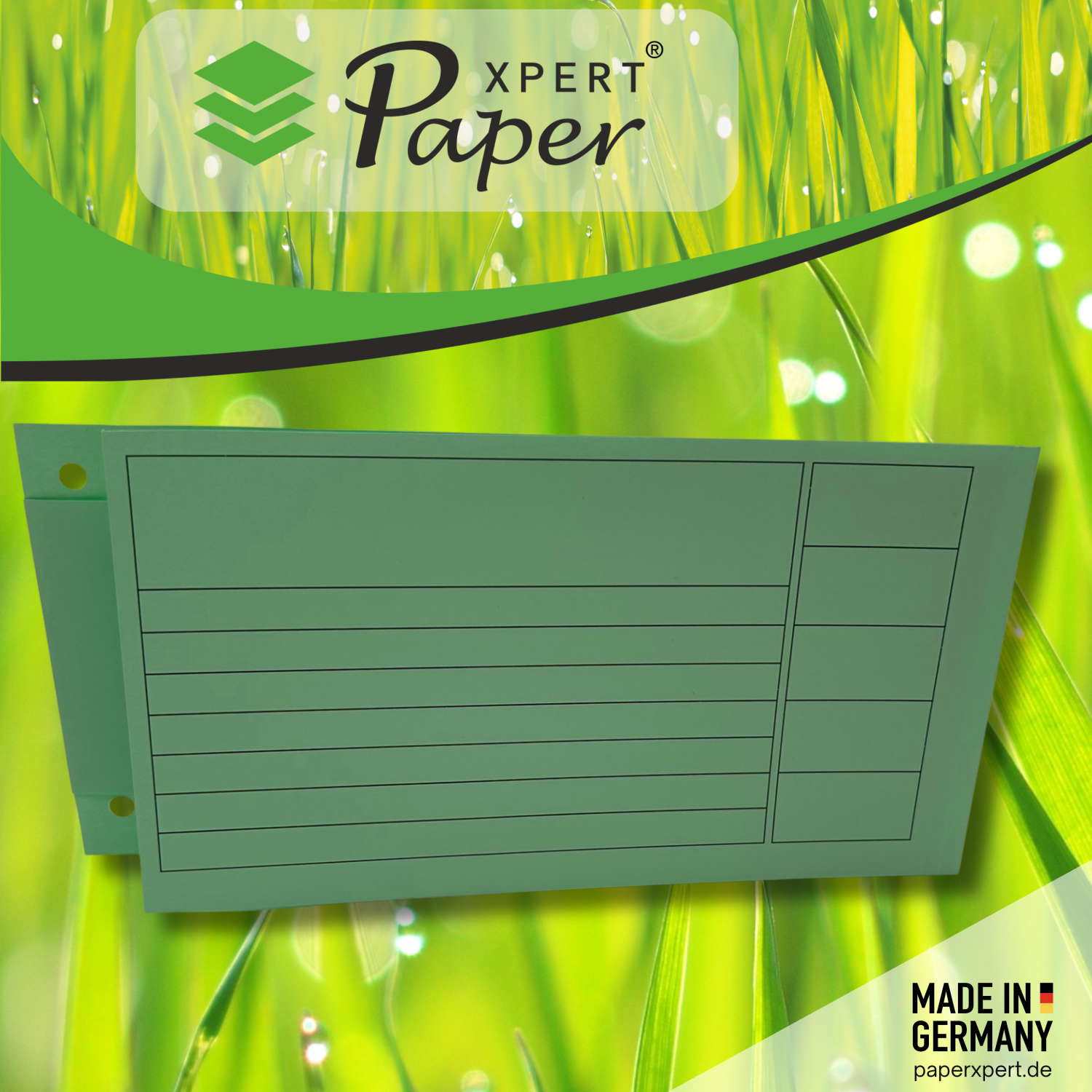 PaperXpert Ordnerbanderolen grün | Vorgangs- & Dokumentenablage für Ordner | Papier 90 g/qm | 250 Stück | Premium Markenqualität – Made in Germany – Bild 2